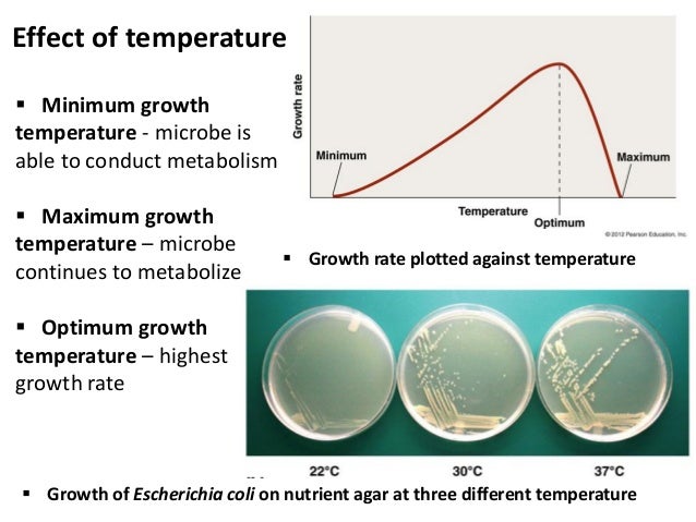 Effect of temperature on microbial growth effect of ph on microbial growth